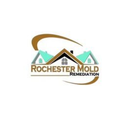 Rochester Mold Remediation