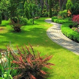 Lawn Care Maryland