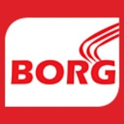 Borg Energy