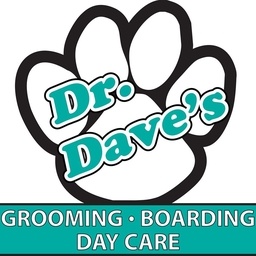 Daves Doggy Daycare