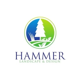 Sean Hammer