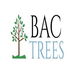 BAC Team